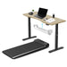 Lifespan Fitness WalkingPad™ M2 Treadmill - FitnessProducts Plus