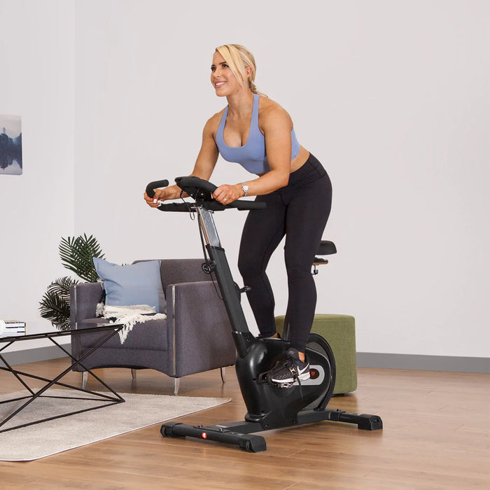 Lifespan Fitness SM-100 Magnetic Spin Bike - FitnessProducts Plus