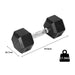 Centra Rubber Hex Dumbbell 17.5kg Home Gym Exercise Weight Fitness Training - FitnessProducts Plus